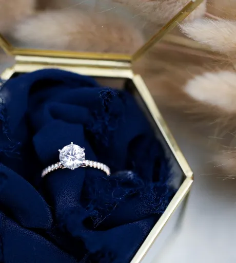 Shelle Jewelers, Inc Northbrook, IL