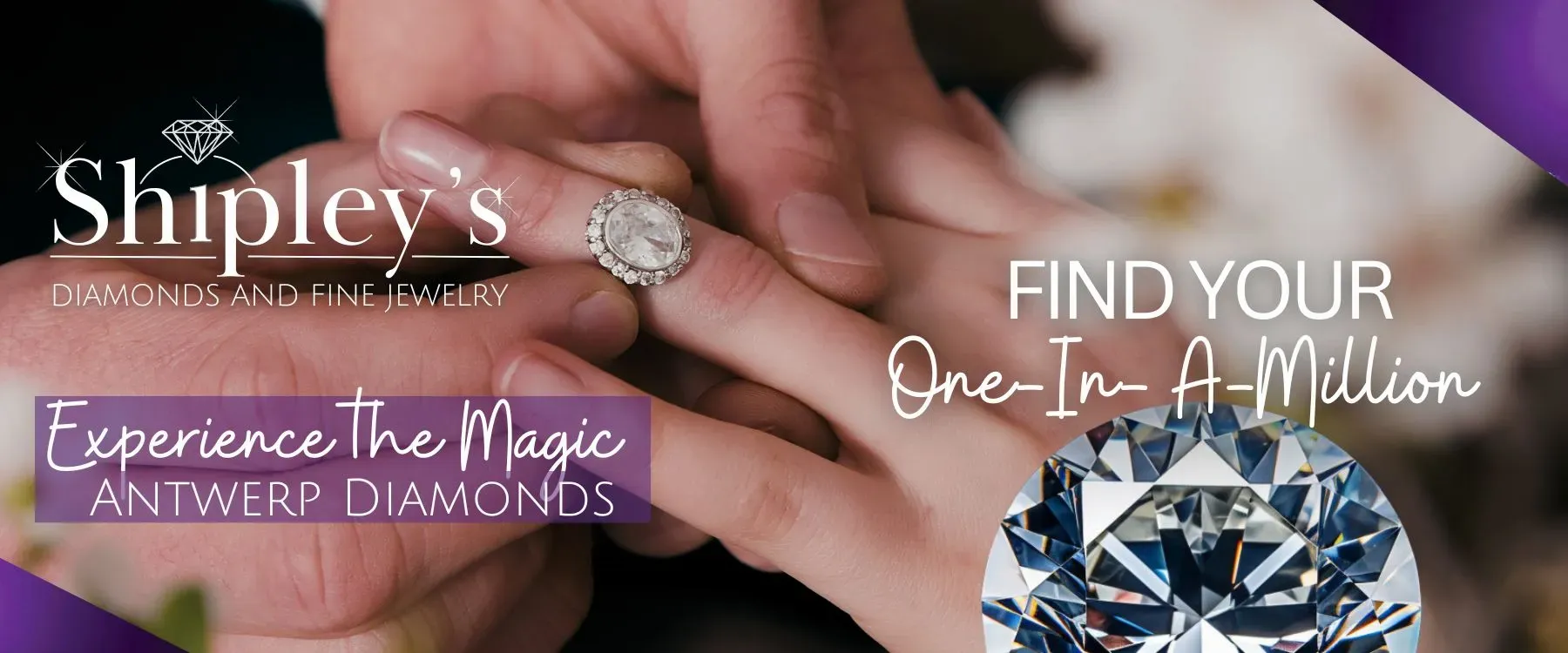 ORDER YOUR ANTWERP DIAMOND TODAY!  Shipleys Fine Jewelry Hampstead, MD