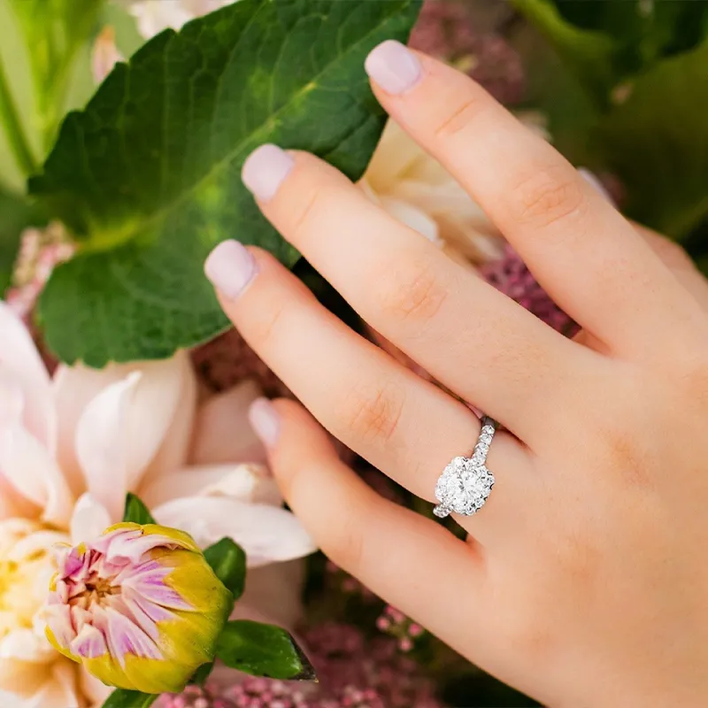 Shipley's Fine Jewelry Hampstead's Home for Fine Jewelry, Diamonds