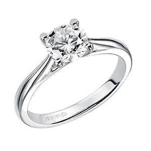 Engagement Ring With a Polished Band