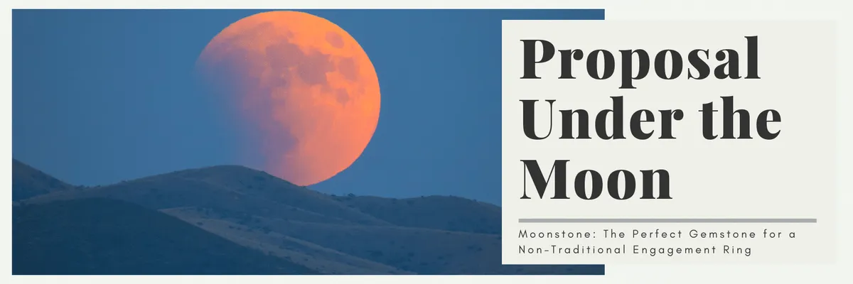 A Proposal Under the Moon