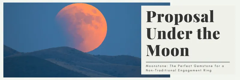 Read article: A Proposal Under the Moon