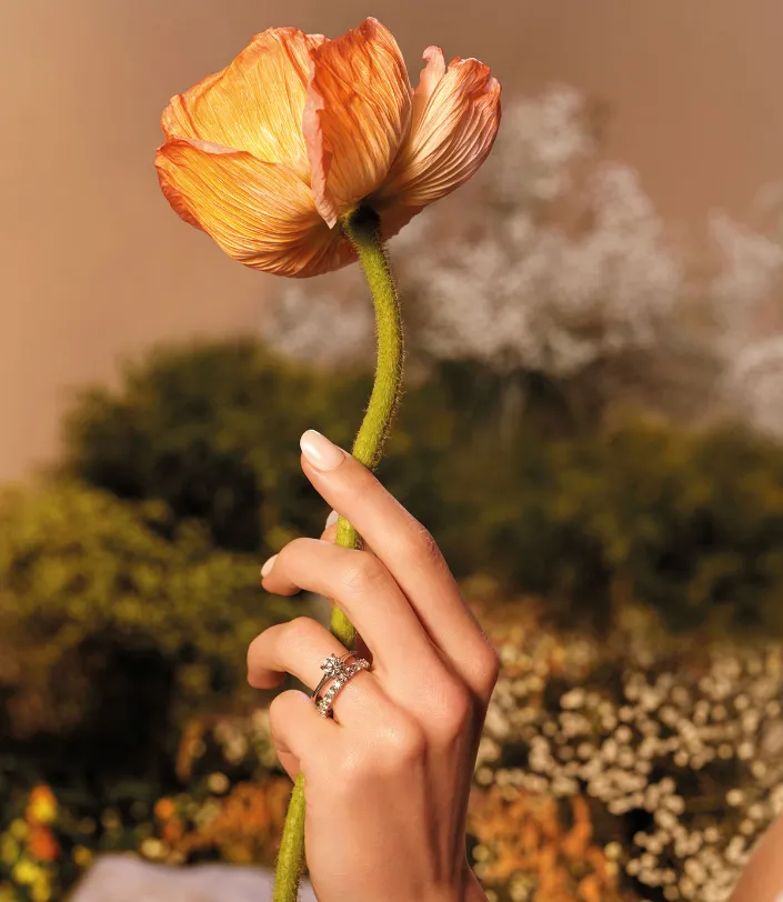 Your Widget Header Text Goes Here Lorem ipsum dolor sit amet consectetur adipiscing elit. SVS Fine Jewelry Oceanside, NY