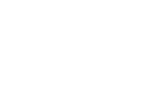 The Diamond Ring Co logo
