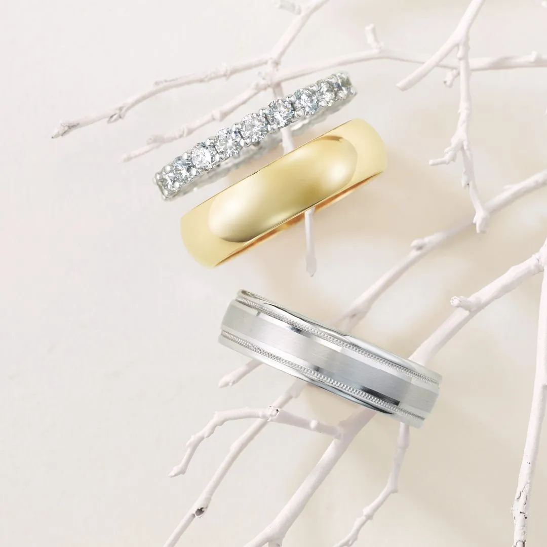 Three elegant rings on white branches, showcasing wedding band designs. Visit Tom Cook Jeweler, Inc.
