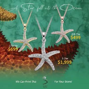 Starfish Pamphlet  The Plumb Club CHARLOTTE, AL