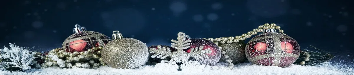 Your Holiday Jewelry Store. Daytona Beach Has It All!