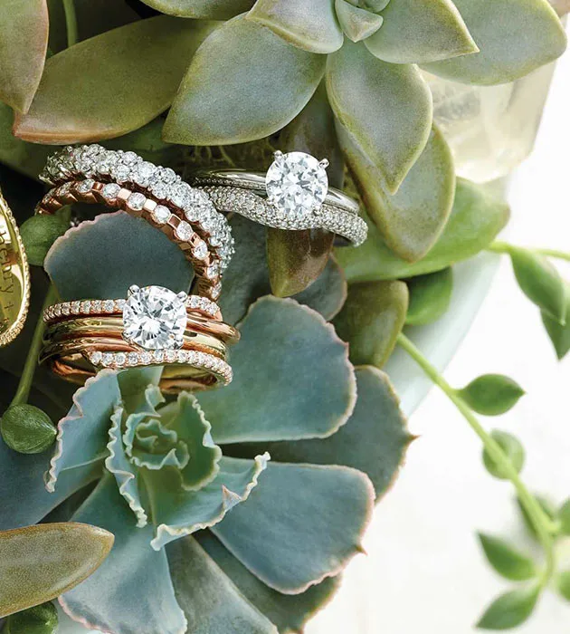 Elegant diamond engagement rings displayed among succulent plants at Holly McHone Jewelers in Astoria.