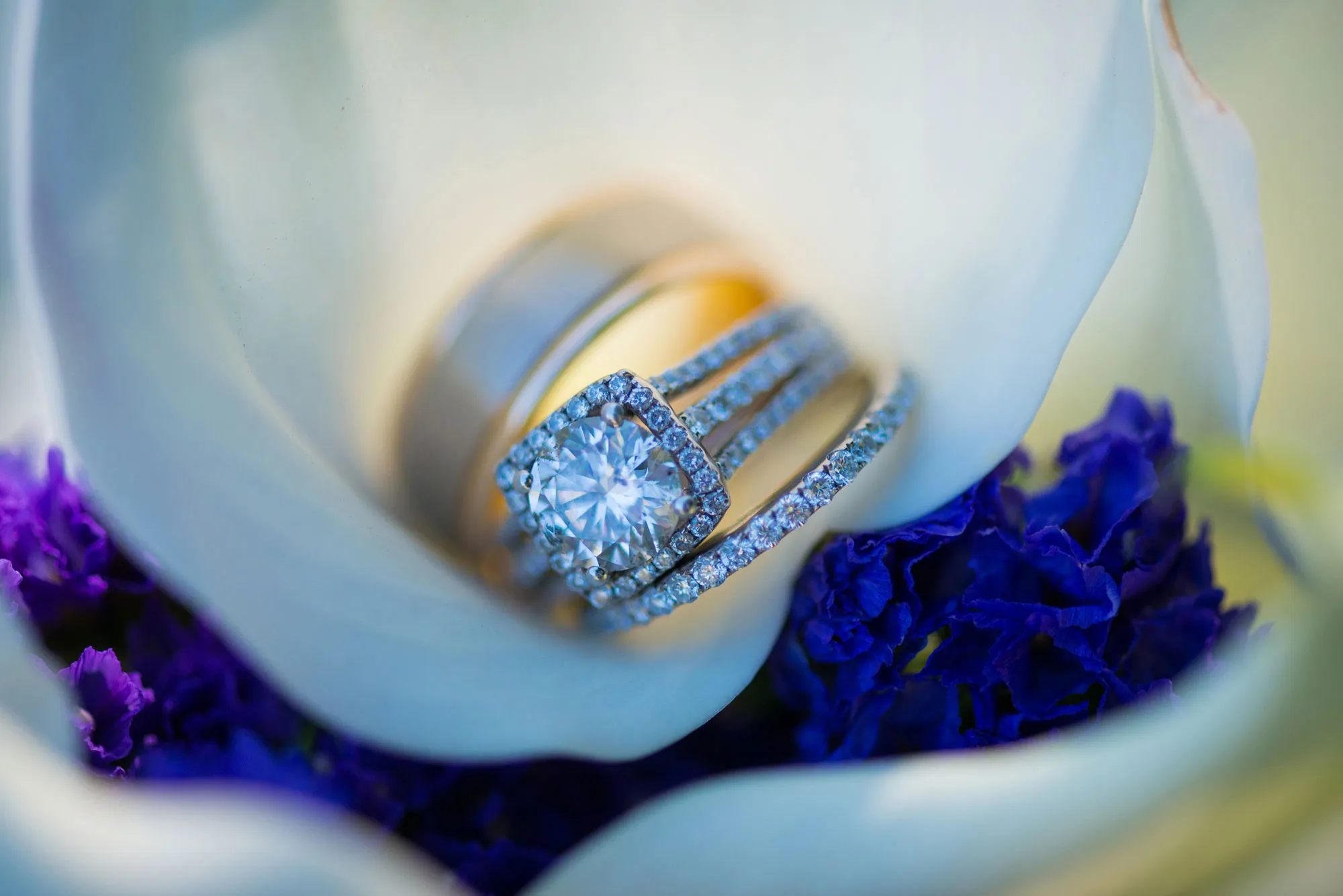 Design Your Own Ring Lorem ipsum dolor sit amet, consectetur adipiscing elit, sed do eiusmod tempor incididunt ut labore et dolo