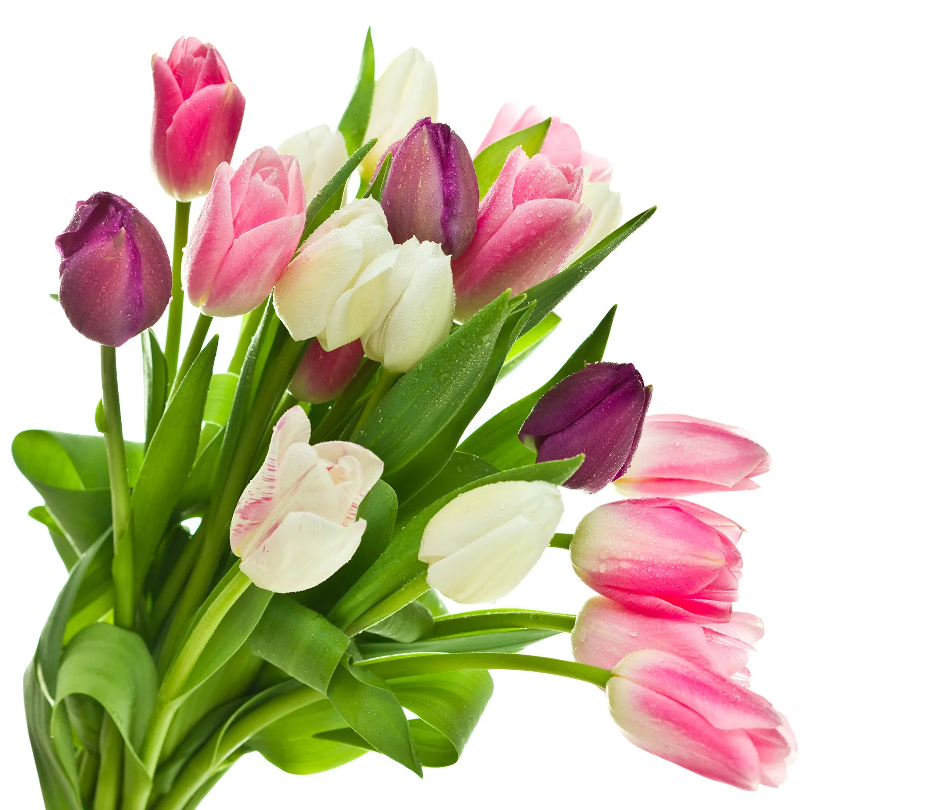 Shop Valentine's Day Arrangments Shop all Valentine's Arrangments or let our Florist pick the perfect arrangment for you. Chippers Jewelry Bonney Lake, WA