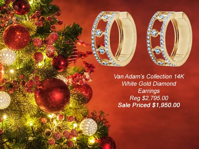 All Earrings On Sale Diamond earrings are always a winner. Van Adams Jewelers Snellville, GA