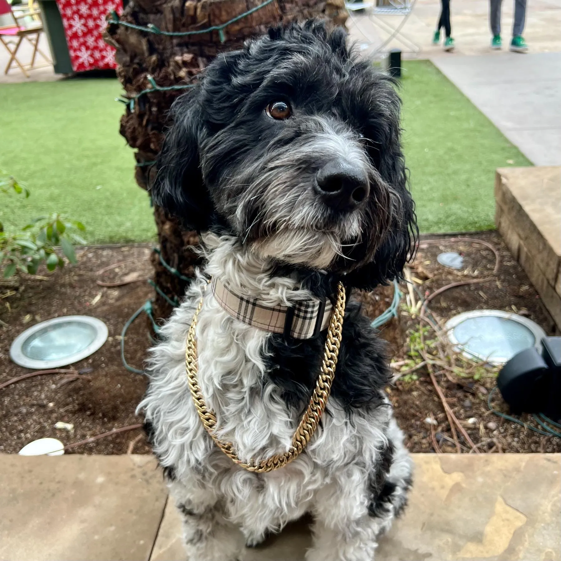 CUSTOM GALLERY  Galicia Fine Jewelers Scottsdale, AZ