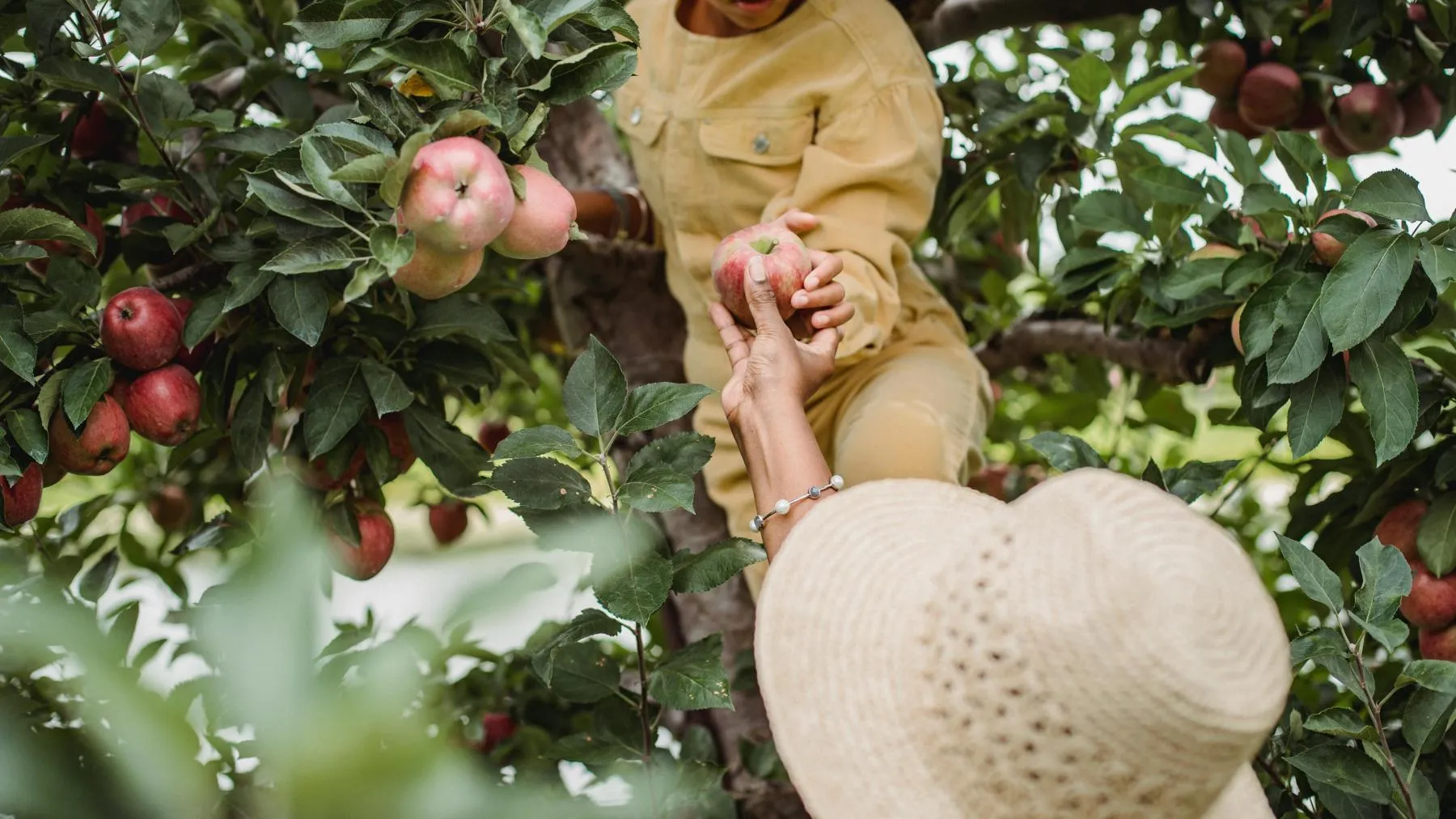 Galicia Fine Jewelers Scottsdale, AZ