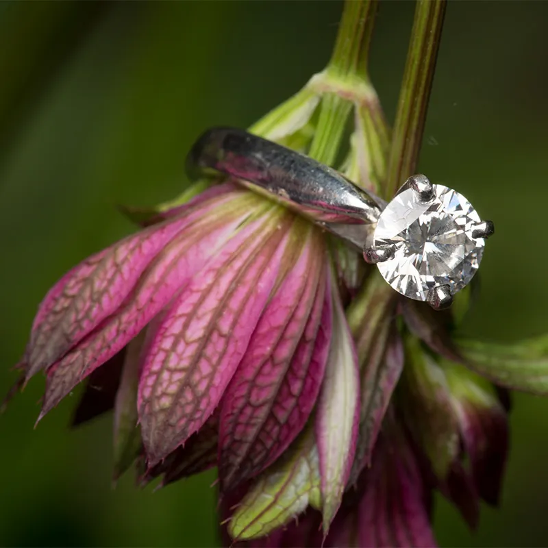 Begin Your Custom Jewelry Journey Today