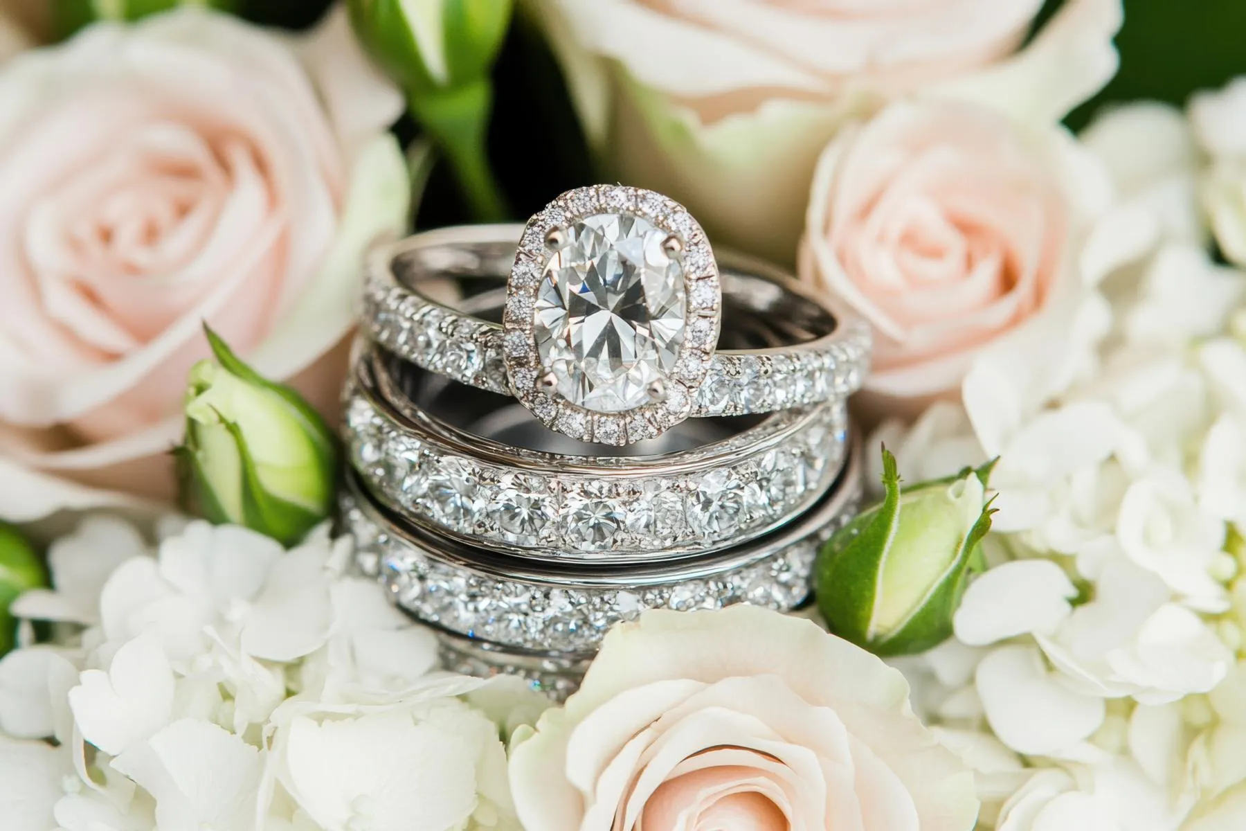 Engagement rings displayed among soft pink roses and white flowers. Click to shop now at Monarch Jewelry in Winter Park.