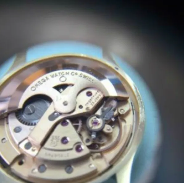 Interior Of Watch