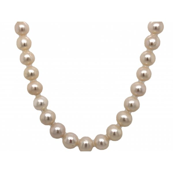 Dome Necklace with Pearl Drop • Clifton Rocks